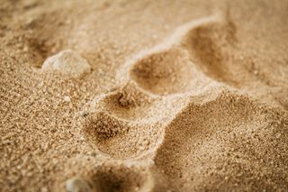 A child's footprint in the sand